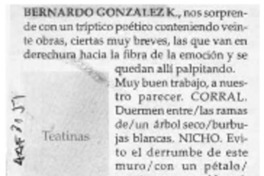 Teatinas  [artículo].