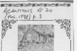 El Almacen de mi tío Desiderio  [artículo].