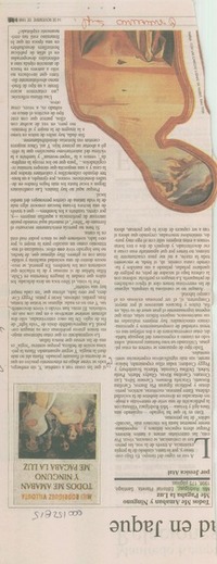 Todos me amaban y ninguno me pagaba la luz