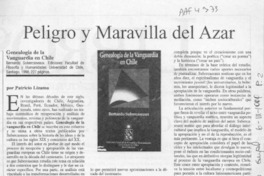 Peligro y maravilla del azar  [artículo] Patricio Lizama.