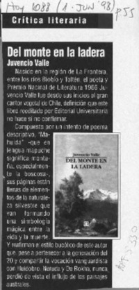 Del monte en la ladera