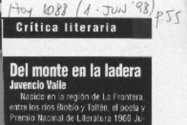 Del monte en la ladera