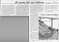 El poeta del sur chileno