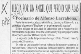 Elegía por un ángel que perdió sus alas  [artículo] J. V. B.