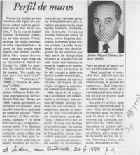 Perfil de muros  [artículo] Jaime Miguel Gómez Rogers.