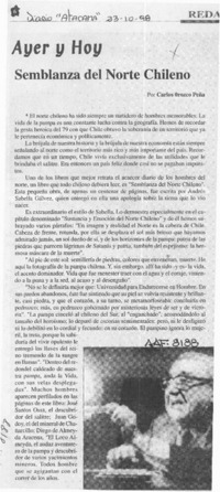 Semblanza del norte chileno