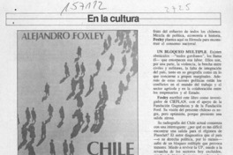 Solamente posible  [artículo] Elena Vial.