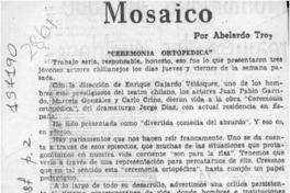 Mosaico  [artículo] Abelardo Troy.