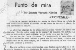 Punto de mira  [artículo] Ernesto Vásquez Méndez.