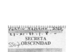 Secreta obscenidad  [artículo].