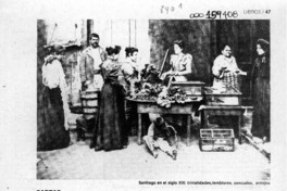 La historia, por el ojo de la llave  [artículo] Guillermo Blanco.