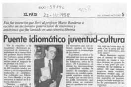 Puente idiomático juventud-cultura  [artículo].