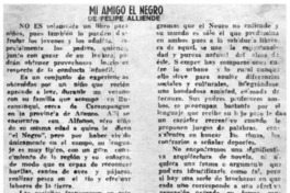 Mi amigo el negro