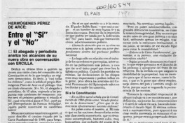 Entre el "Sí" y el "No"  [artículo] Elke Schwarz.