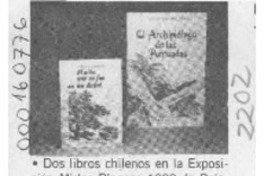 Reconocimiento a escritora chilena  [artículo].