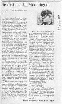 Se deshoja La Mandrágora  [artículo] Marino Muñoz Lagos.
