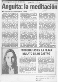 Anguita, la meditación como arte  [artículo] César Vásquez.