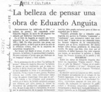 La Belleza de pensar una obra de Eduardo Anguita