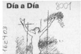 La fiesta del soneto  [artículo] E. C.