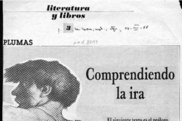 Comprendiendo la ira
