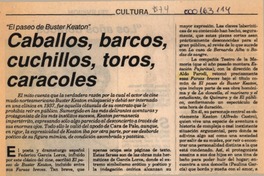 Caballos, barcos, cuchillos, toros, caracoles