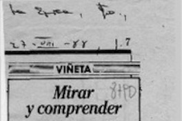 Mirar y comprender  [artículo] Delia Vergara.