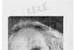 Inter - Nos  [artículo] Enrique Neiman.