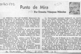Punto de mira  [artículo] Ernesto Vásquez Méndez.