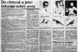 De chincol a jote, informe sobre aves