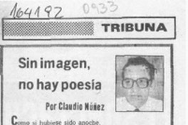 Sin imagen, no hay poesía  [artículo] Claudio Núñez.