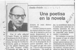 Una poetisa en la novela
