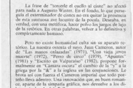 Juan Cameron, "Cámara oscura"