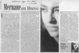 Meruane en breve  [artículo] Javier Edwards R.