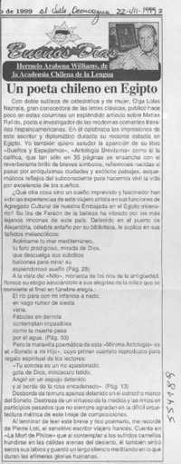 Un poeta chileno en Egipto  [artículo] Hermelo Arabena Williams