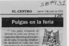 El camino de la poza  [artículo]