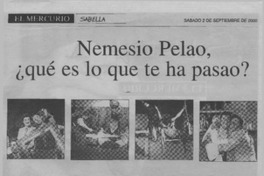 Nemesio Pelao, ¿qué es lo que te ha pasao?  [artículo]