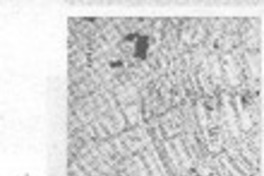 El amor, cuando no da vida, mata