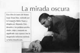 La mirada oscura  [artículo] Virginia Rioseco