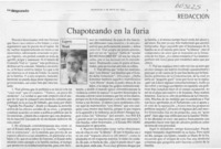 Chapoteando en la furia  [artículo] Eugenio Tironi