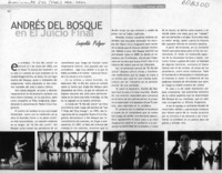 Andrés del Bosque en el juicio final  [artículo] Leopoldo Pulgar