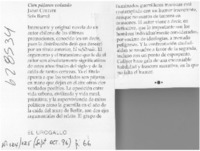 Cien pájaros volando  [artículo]