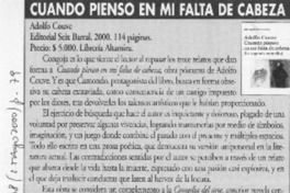 Cuando pienso en mi falta de cabeza  [artículo] Rosa María Verdejo