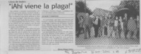 ¡Ahí viene la plaga!  [artículo] Marta Zúñiga Gatica