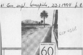 60 kilómetros o el viaje por el sur de Chile  [artículo] Alejandra Ochoa P.