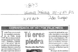 Tú eres piedra  [artículo] Héctor Velis Meza.