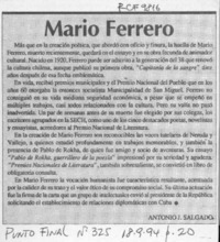 Mario Ferrero  [artículo] Antonio J. Salgado.