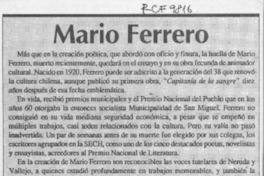 Mario Ferrero  [artículo] Antonio J. Salgado.