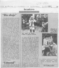 "Río abajo"  [artículo] Pedro Labra.