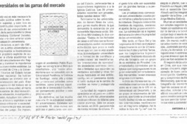 Universidades en las garras del mercado