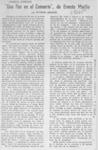 Una flor en el cemento", de Ernesto Murillo